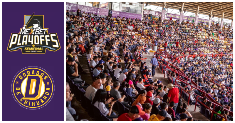 Playoffs Estatal 2023: Dorados se prepara para la batalla en las semifinales del campeonato estatal de béisbol